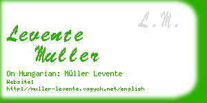 levente muller business card